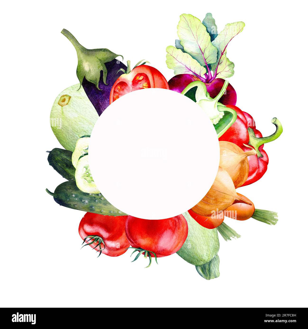 Watercolor seamless border of vegetables,onions,carrots, beets,zucchini ...