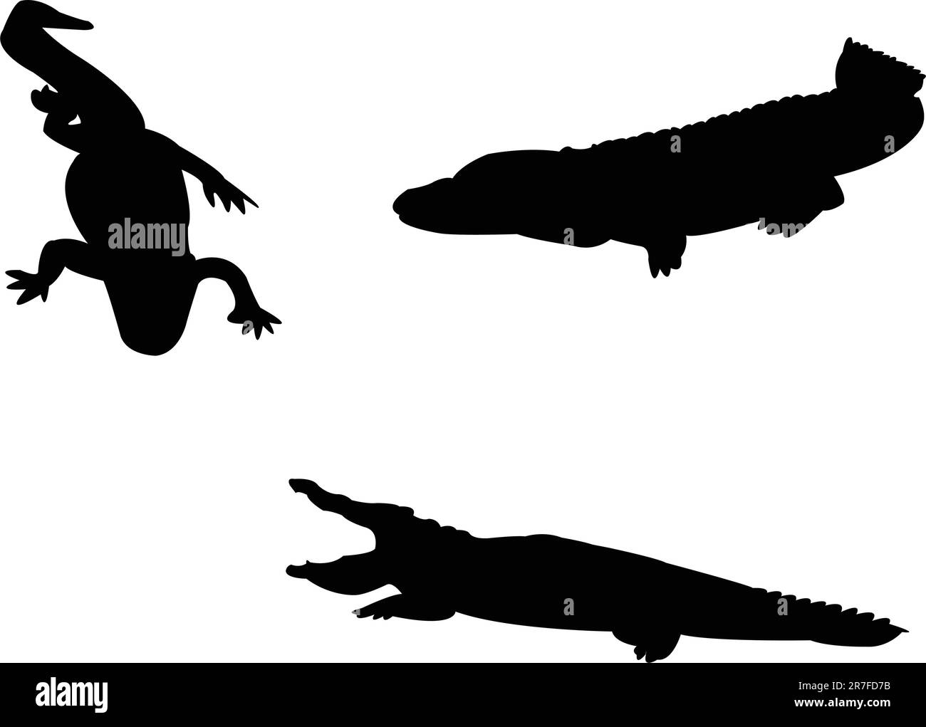 crocodiles silhouette collection - vector Stock Vector Image & Art - Alamy