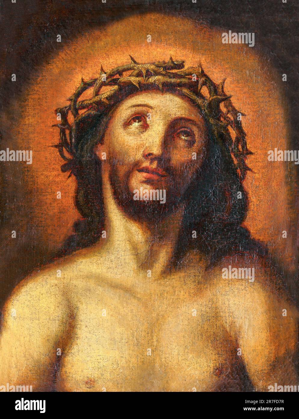 Gold crown of thorns hi-res stock photography and images - Alamy