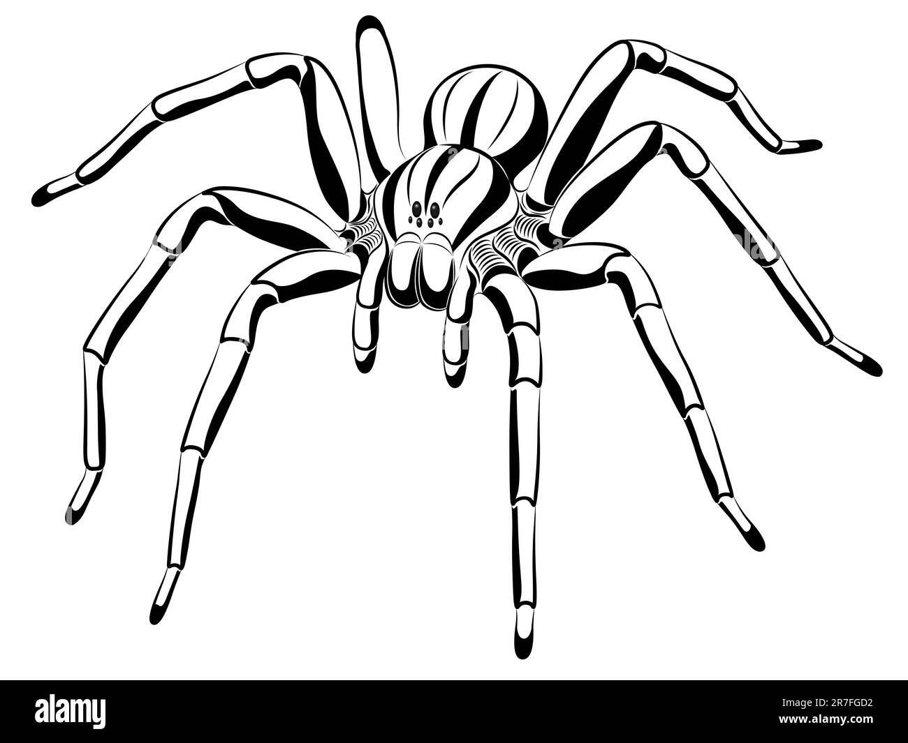 Illustration vector graphic of tribal art tattoo spider black color  12963810 Vector Art at Vecteezy