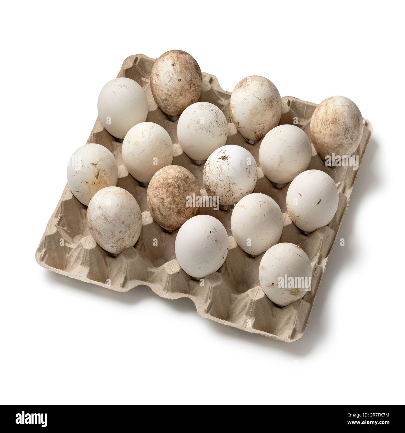 Chicken, Duck, and Goose egg holder Combo