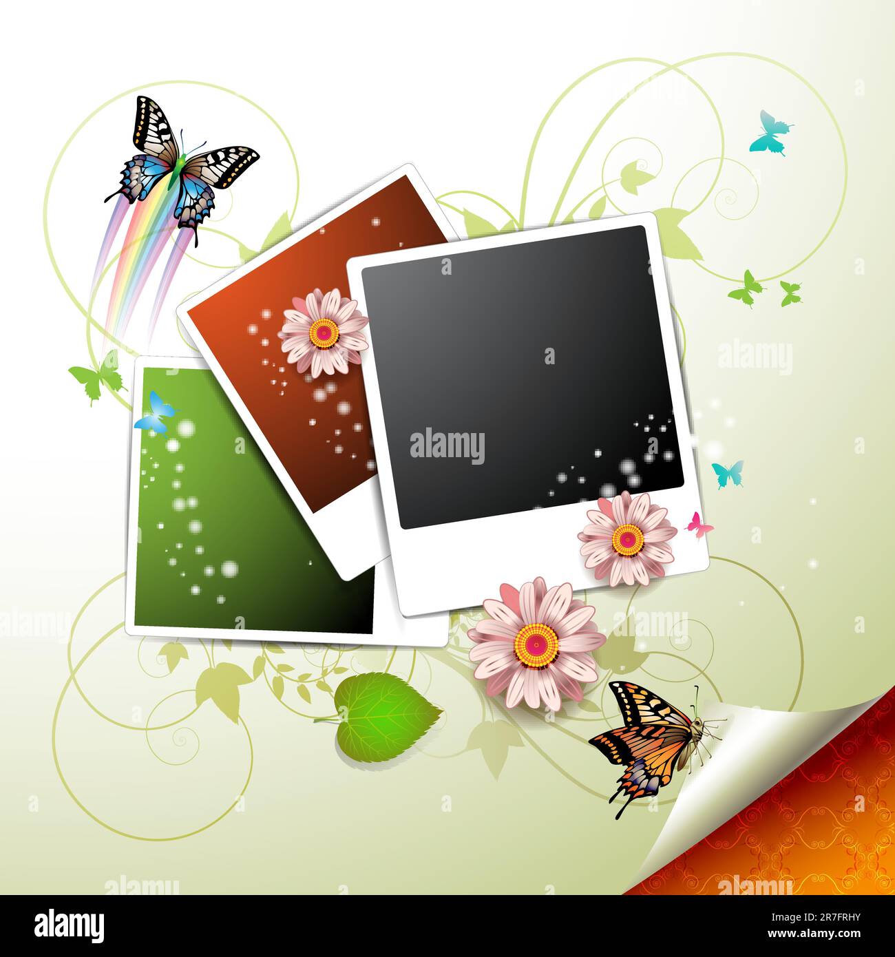 Photos collection with flowers and butterflies Stock Vector Image & Art ...