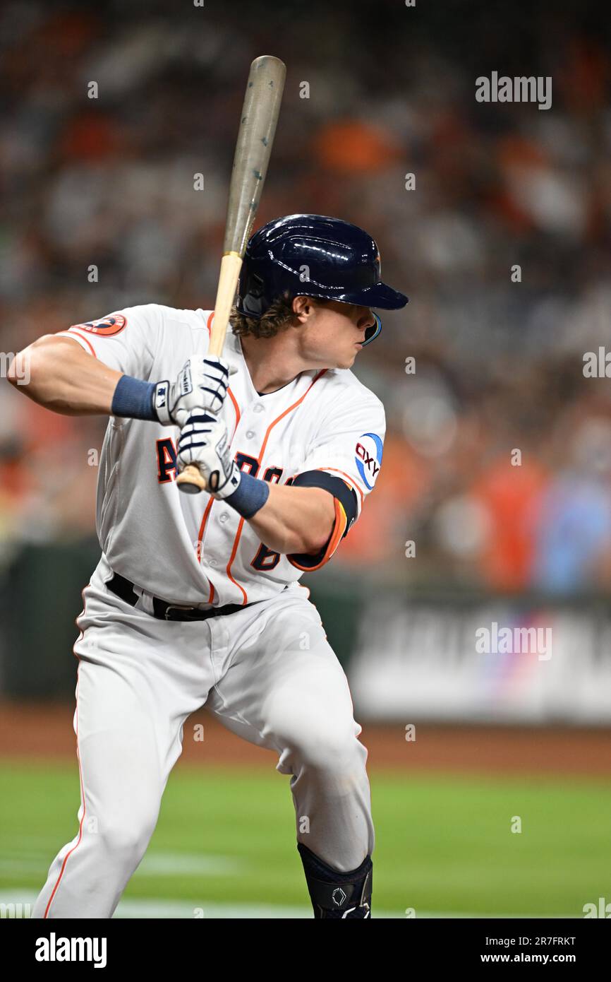 Houston Astros center fielder Jake Meyers (6) bats in the bottom of the