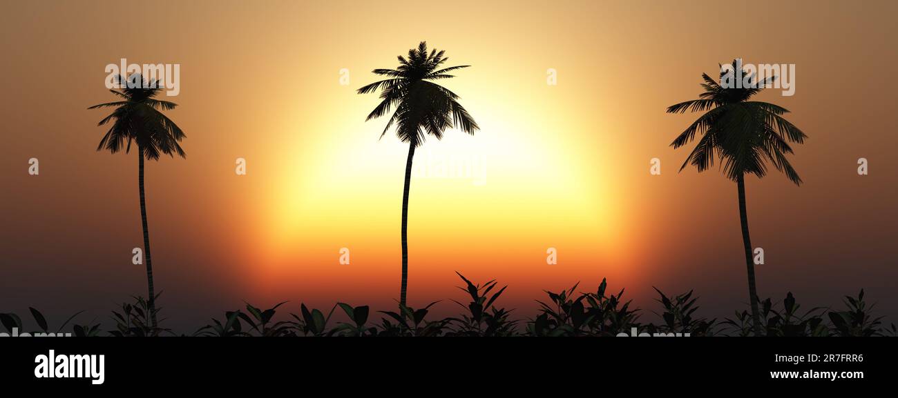 Tropical landscape at sunset Stock Photo