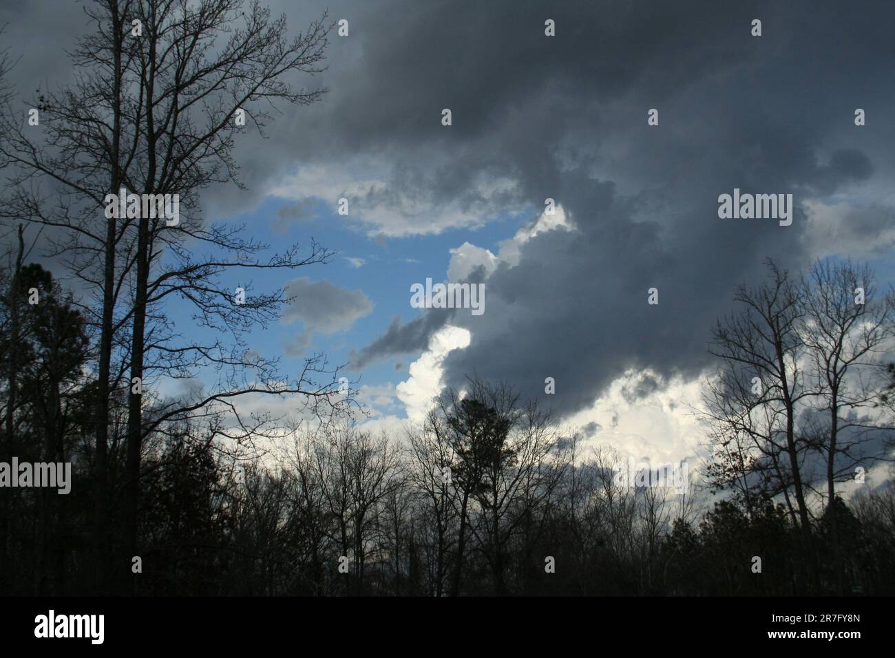Storm Clouds With Tree Silhouettes Rural Scene Stock Photo - Alamy