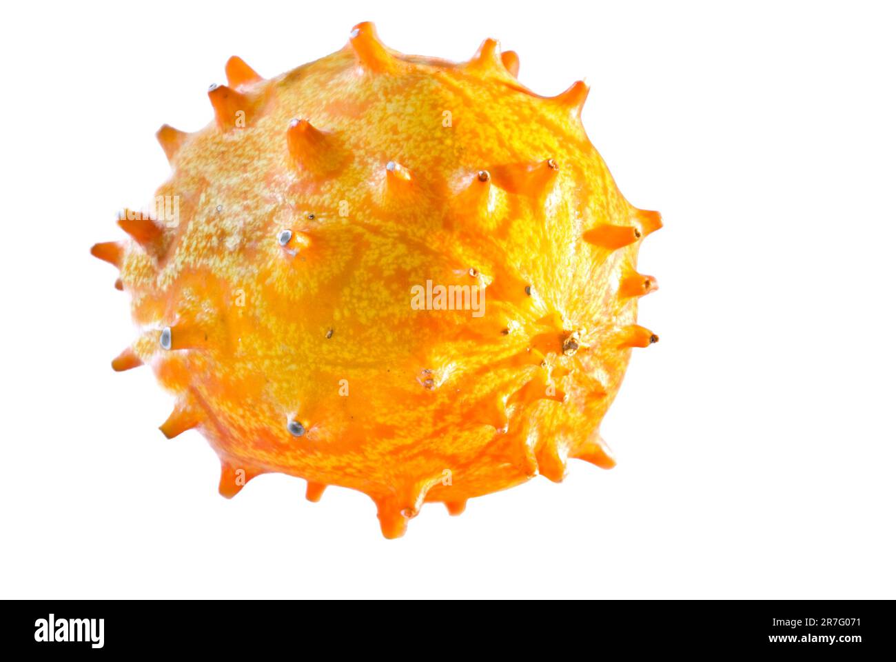 Cucumus metiliferus, horned melon, has many names eg. African horned