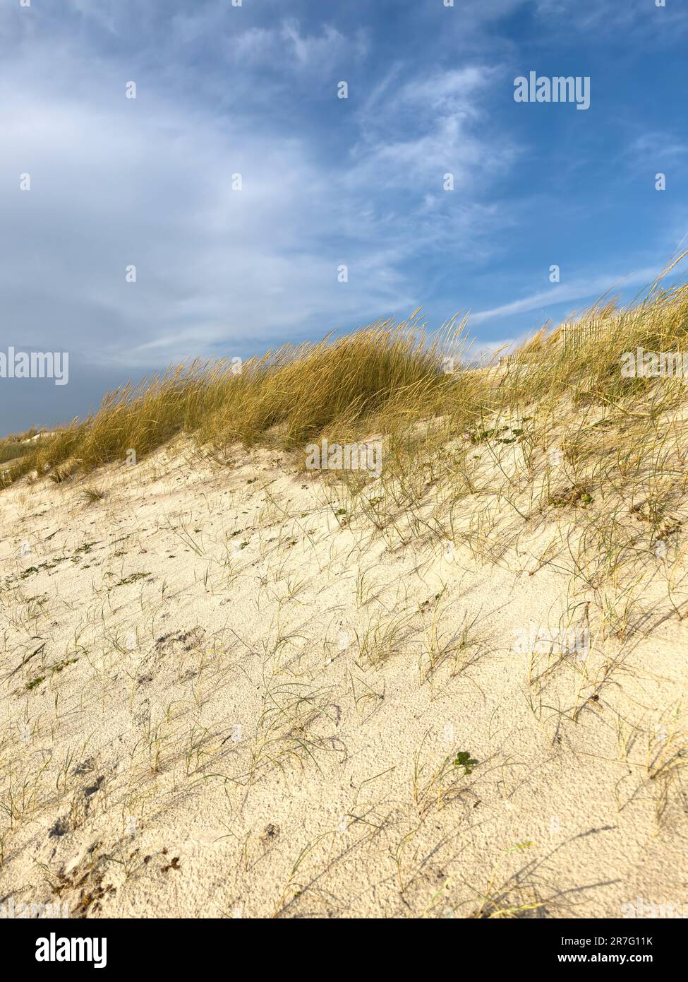 Sandy dunes landscape on Furadouro beach, Ovar - Portugal. Stock Photo