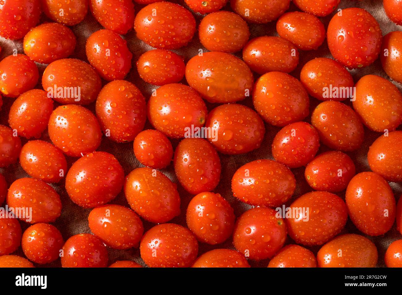 Red Raw Organic Cherry Tomatoes Ready to Eat Stock Photo