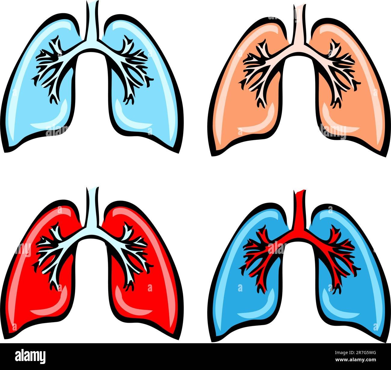 Lung Anatomy, bronchi, human medical illustration, 4 emblem, scheme, Benefits of Lung Stock Vector