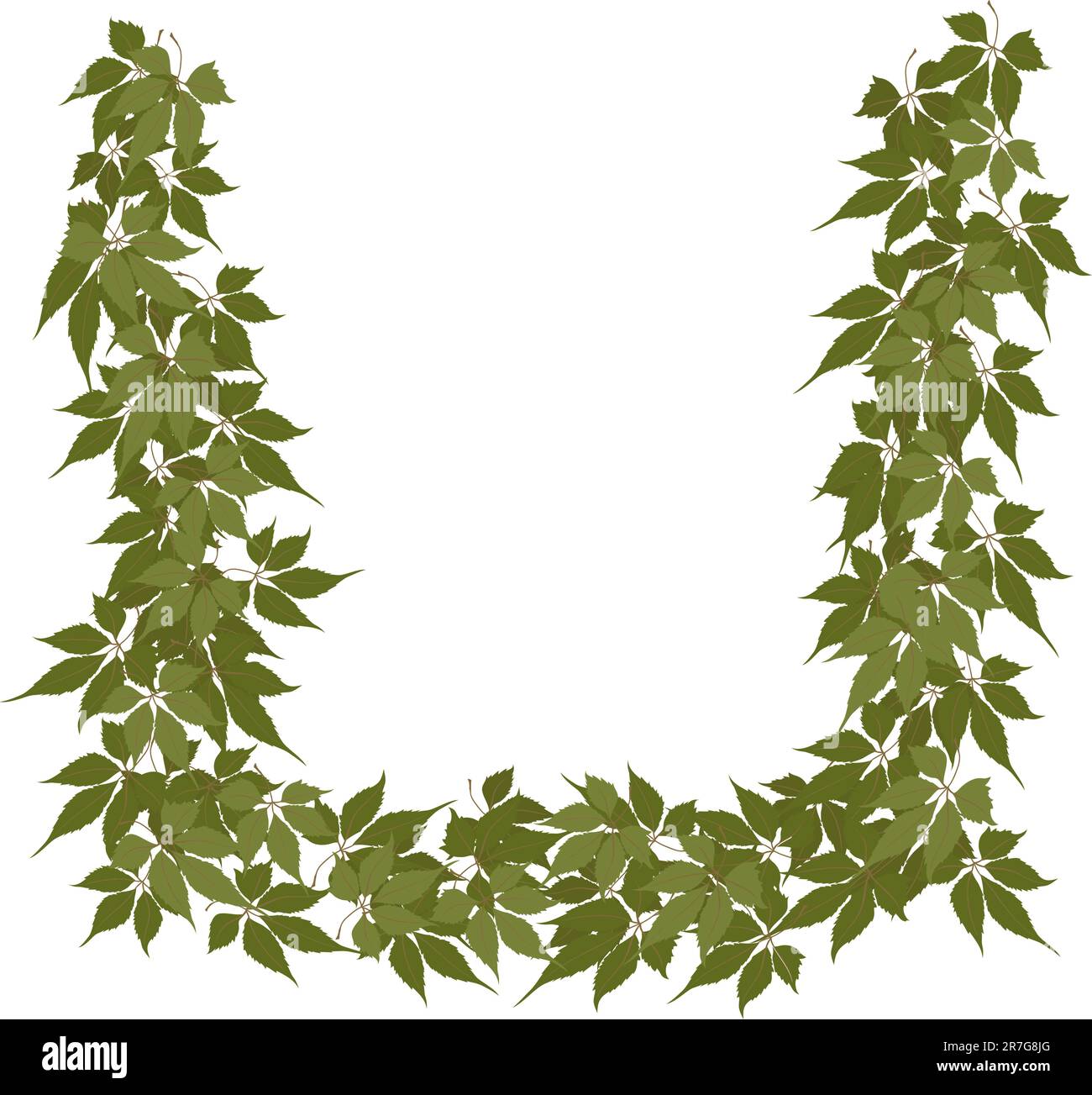Grape leaves spring Stock Vector Images - Alamy