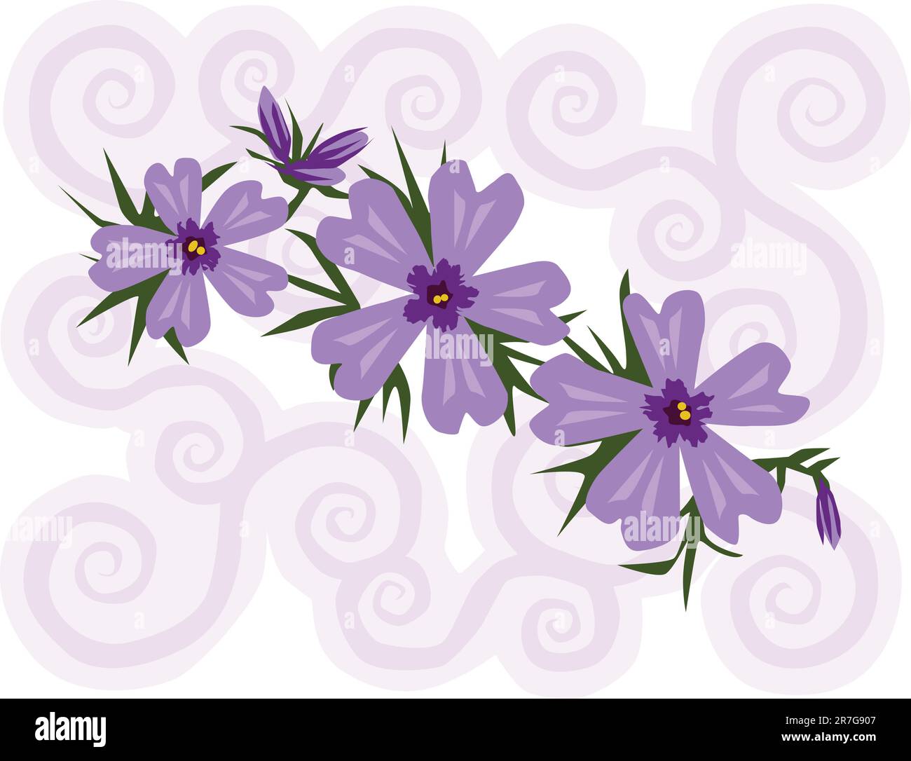 Vector illustration of purple phlox flowers with a swirly background. Stock Vector