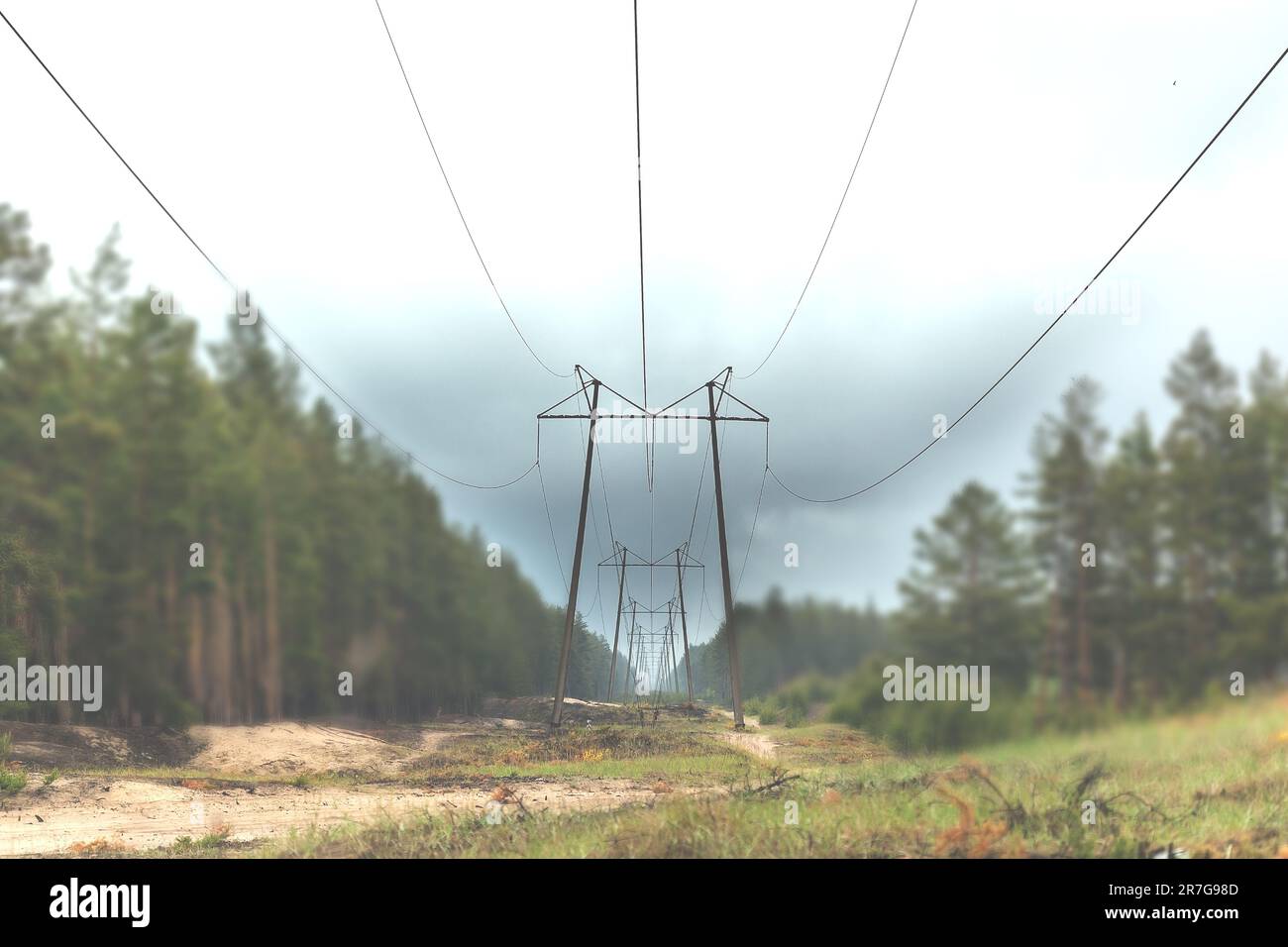 Power lines. Selective focus.Power transmission towers pine forest.Several overhead power lines with steel structures of power transmission towers aga Stock Photo