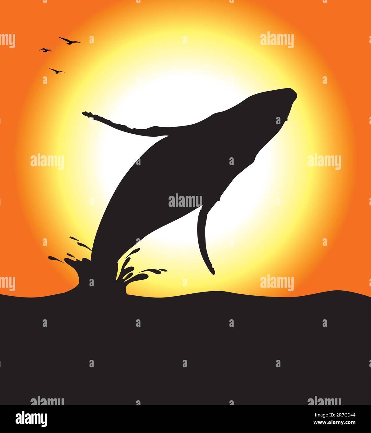 Whale Shadow A humpback whale silhouette jumping at sunset. Editable vector ...