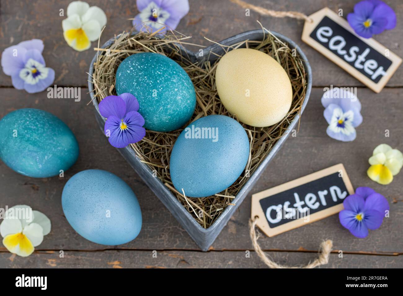 easter decoration with  painted eggs and viola flowers Stock Photo