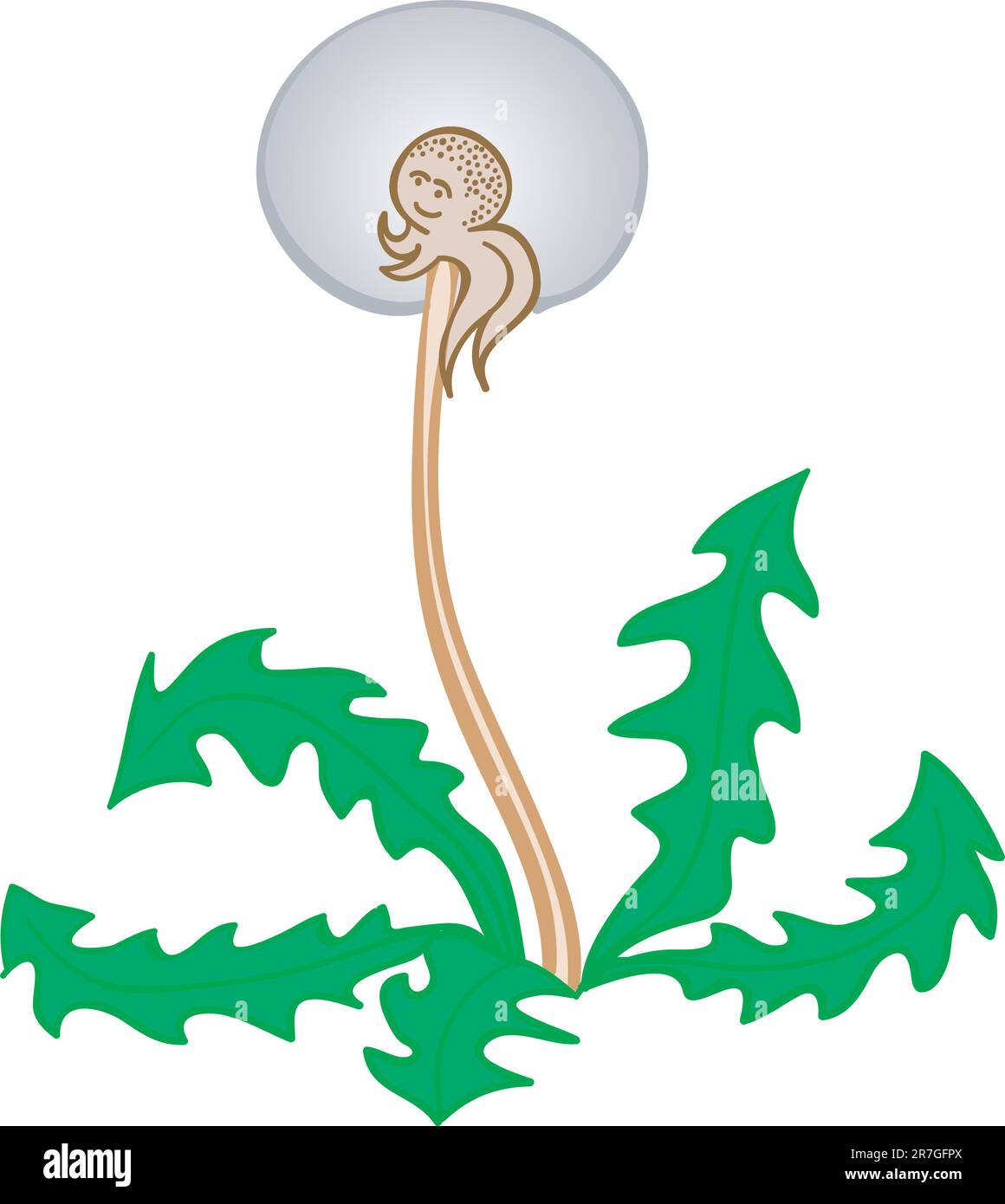 Beautiful dandelion close up image Stock Vector Images Alamy