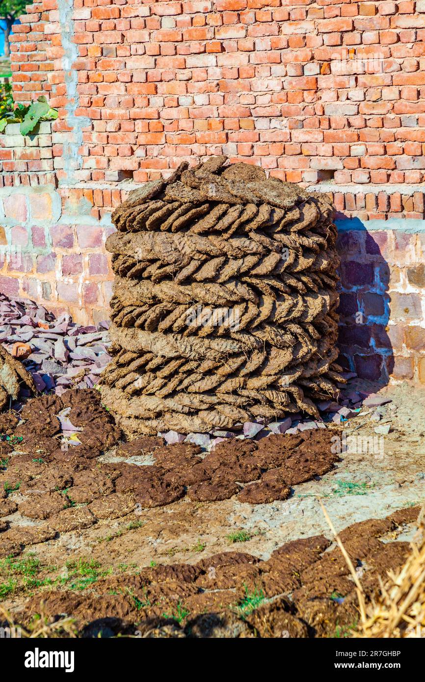 dried cow dung as burning material for fire and heating in India Stock