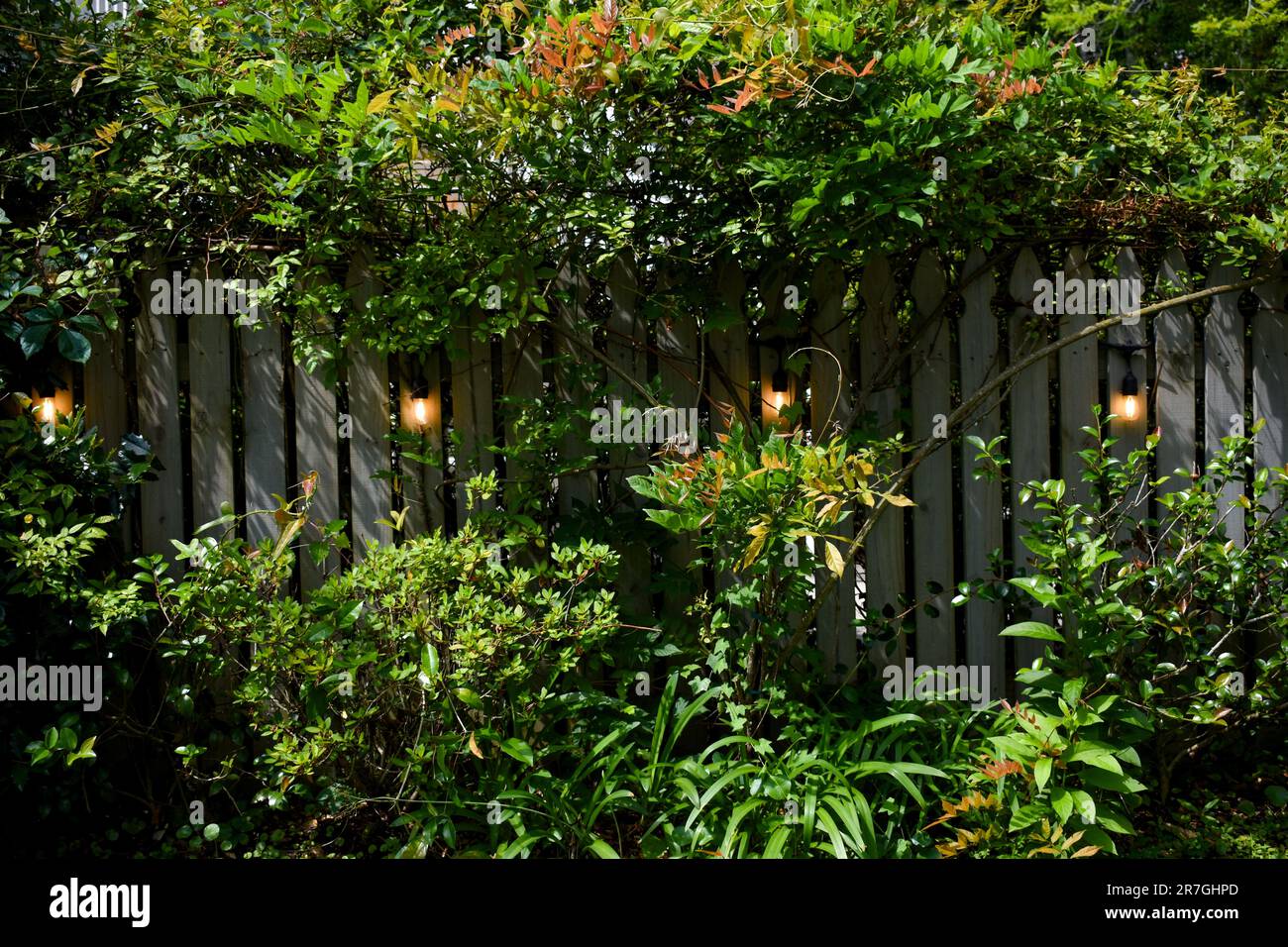 Cottage garden wooden fence hi-res stock photography and images - Alamy
