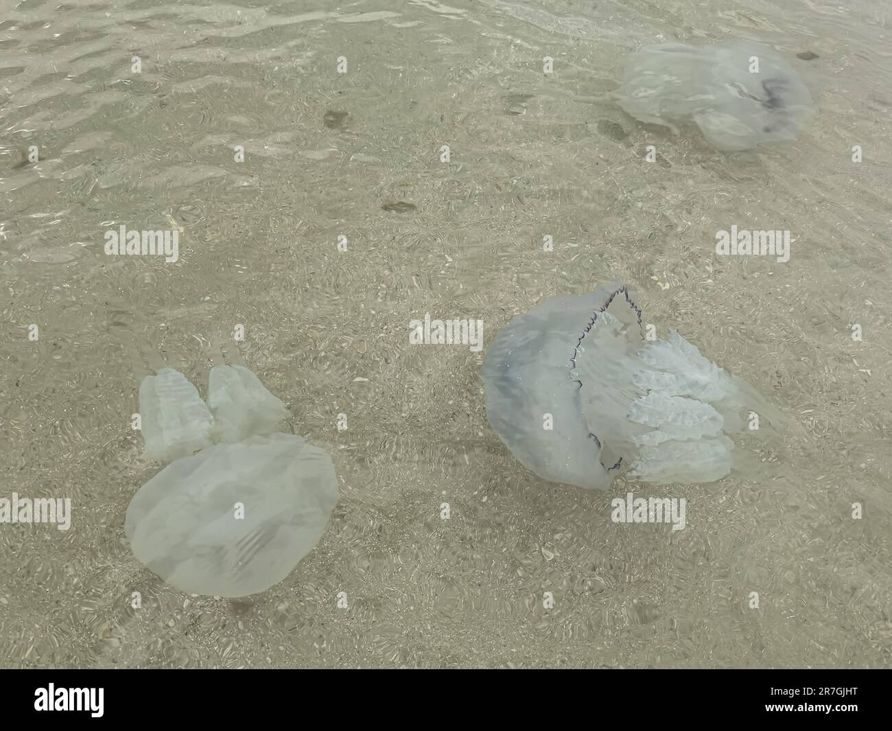 Transparent blue ocean sandy bottom hi-res stock photography and images ...