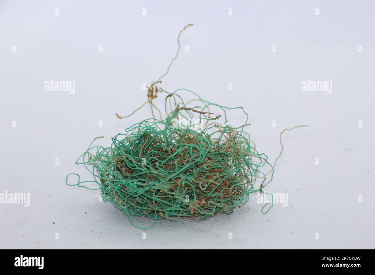 Long green knotted fishing line washed up ashore Stock Photo