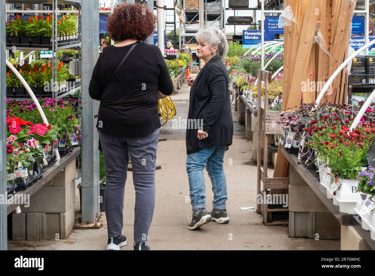 Two Caucasian women, one a senior, shop in Lowe's Garden center full of new spring bedding plants and gardening merchandise.  Wichita, Kansas, USA. Stock Photo
