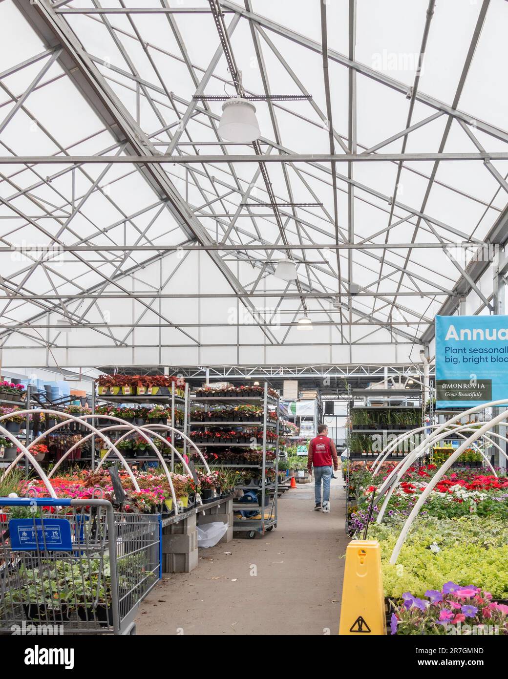 Male Lowe's employee walks the aisle of a Lowe's garden center, a ...