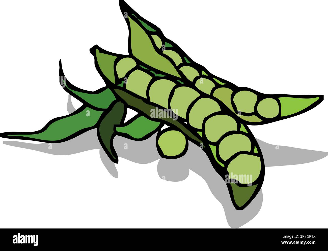 Peas, isolated bean vector Illustration of a pea pod Stock Vector Image & Art Alamy