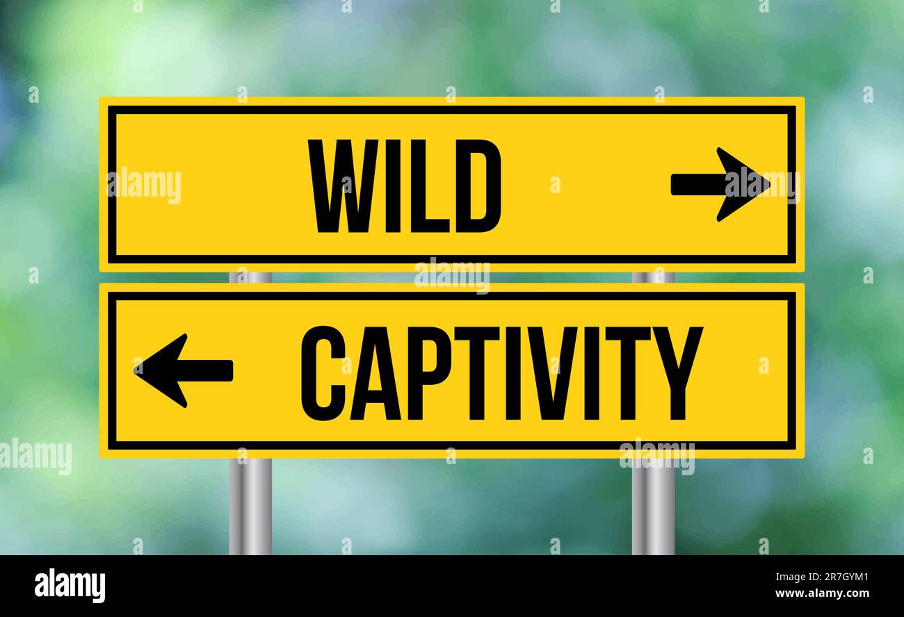 Wild or captivity road sign on blur background Stock Photo - Alamy