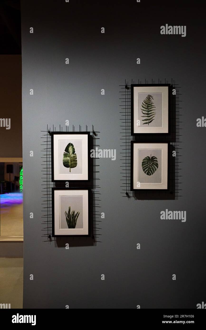 Modern Interior with Elegant Picture Frame. Artistic display in a ...