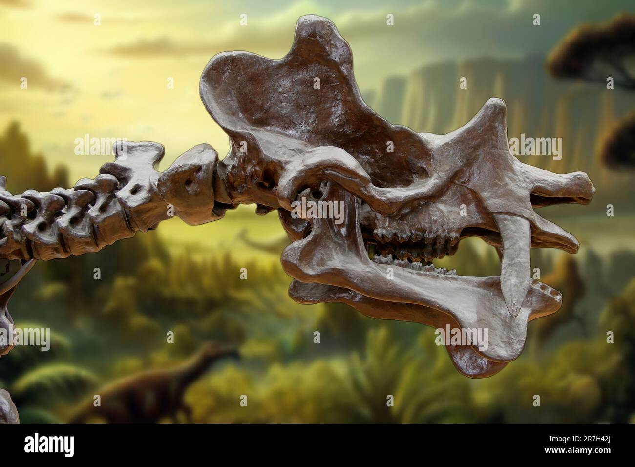 Dinoceras mirabile Marsh is an extinct genus of herbivorous mammal that lived during the Eocene epoch Stock Photo