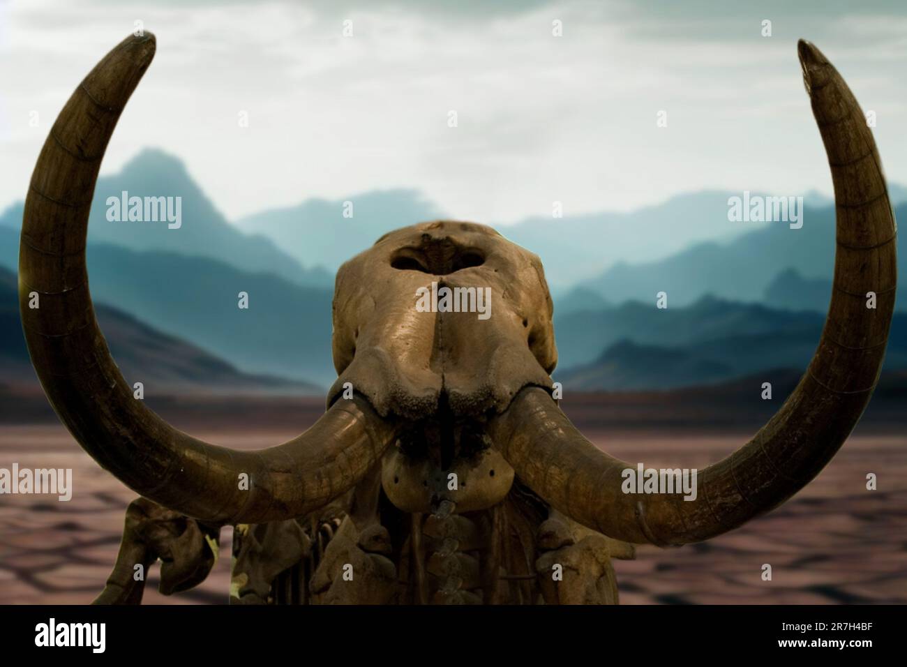 The mastodon (Mammoth) was a primitive proboscidean that lived from 4 million to 10,000 years ago, in the Pliocene and Pleistocene Stock Photo