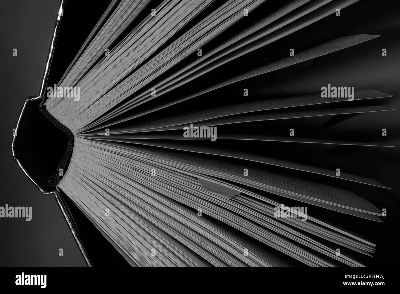 Open book close up, black and white, reading, education, knowledge