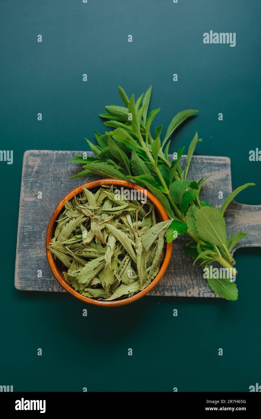 Stevia rebaudiana.sweet plant.Stevia dry leaves in bowls and fresh