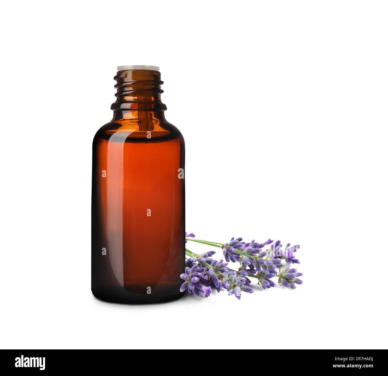 Bottle of lavender essential oil and flowers on white background Stock ...