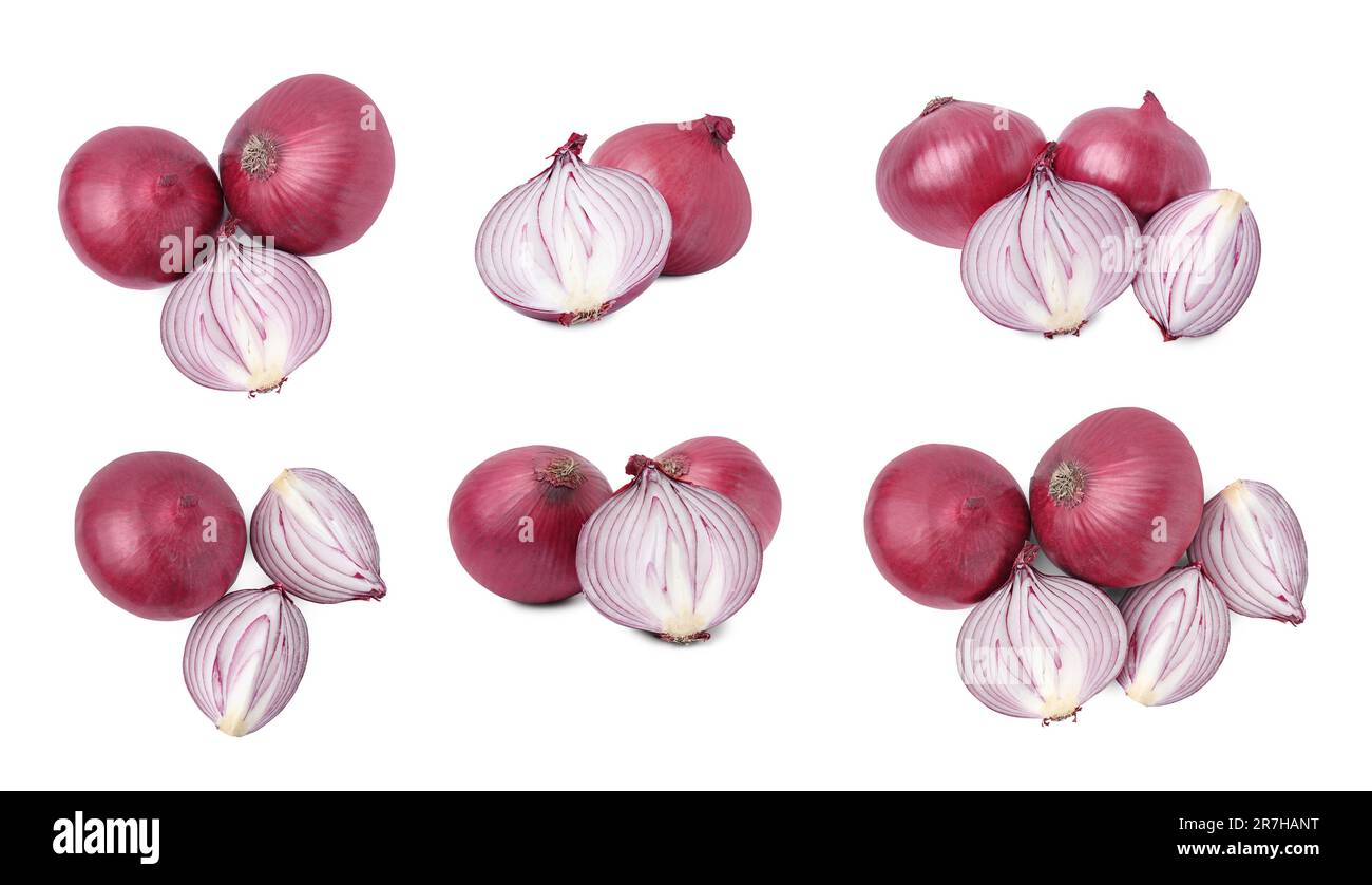 Collage with whole and cut red onions on white background Stock Photo ...