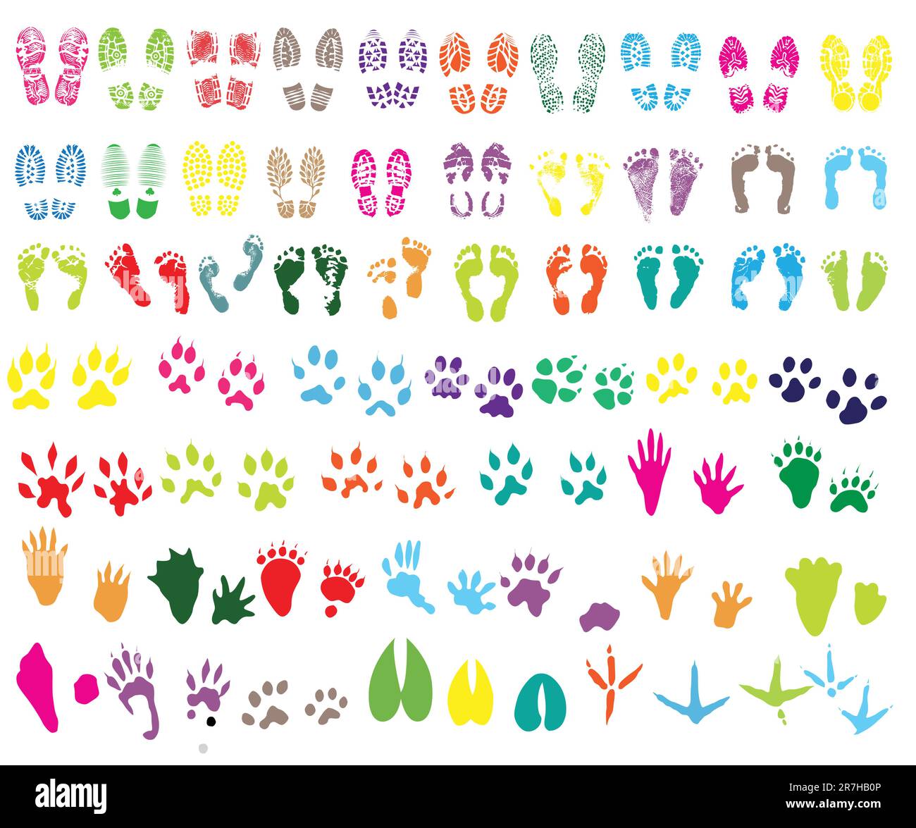 Collection of shoe print, footprint, animal and bird trails Stock Vector