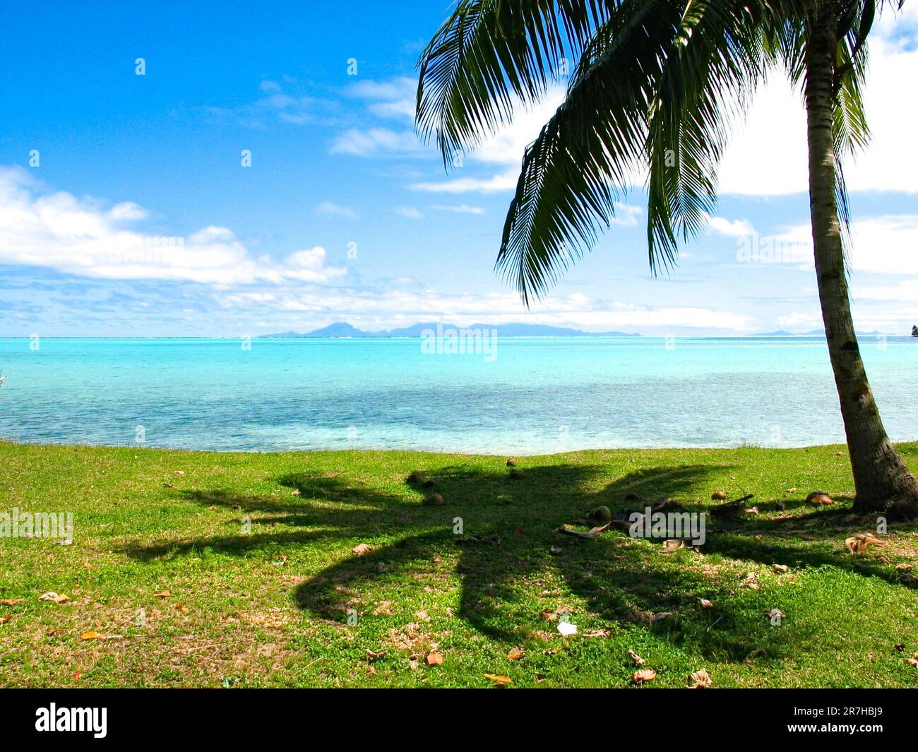 View of Raiatea and Tahaa (Ra'iatea and Taha'a) from Huahine, French Polynesia: coconut palm shade, blue lagoon and islands on the horizon. Stock Photo