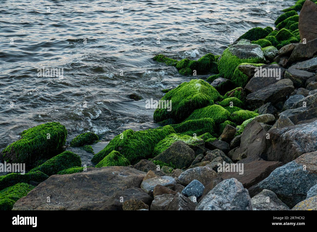 Rock Pier (Pier de Pedra) rocks covered in green moss bathed with Guanabara bay salt waters in in Centro district, nearby Santos Dumont airport. Stock Photo