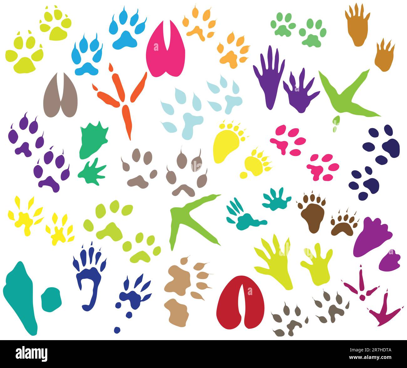 Collection of shoeprint, footprint, animal and bird trails Stock Vector