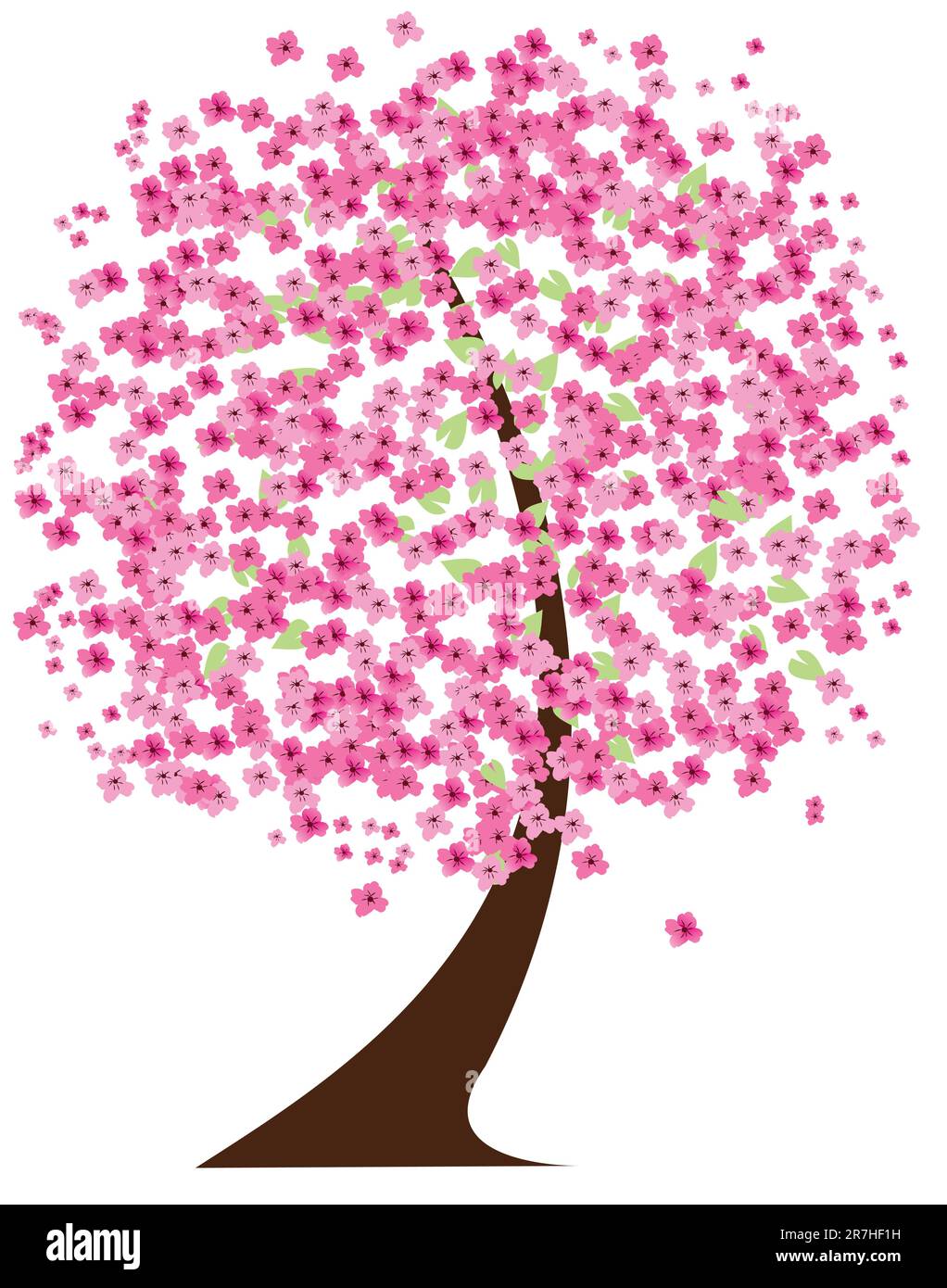 Nice cherry blossom Stock Vector Images - Alamy