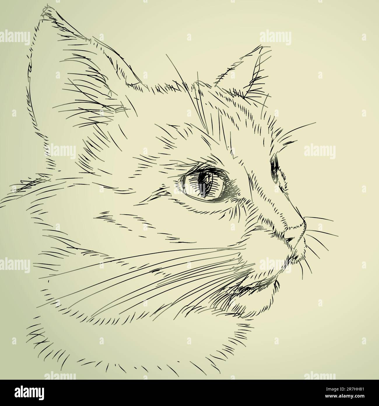 drawing cat, this illustration may be useful as designer work Stock Vector