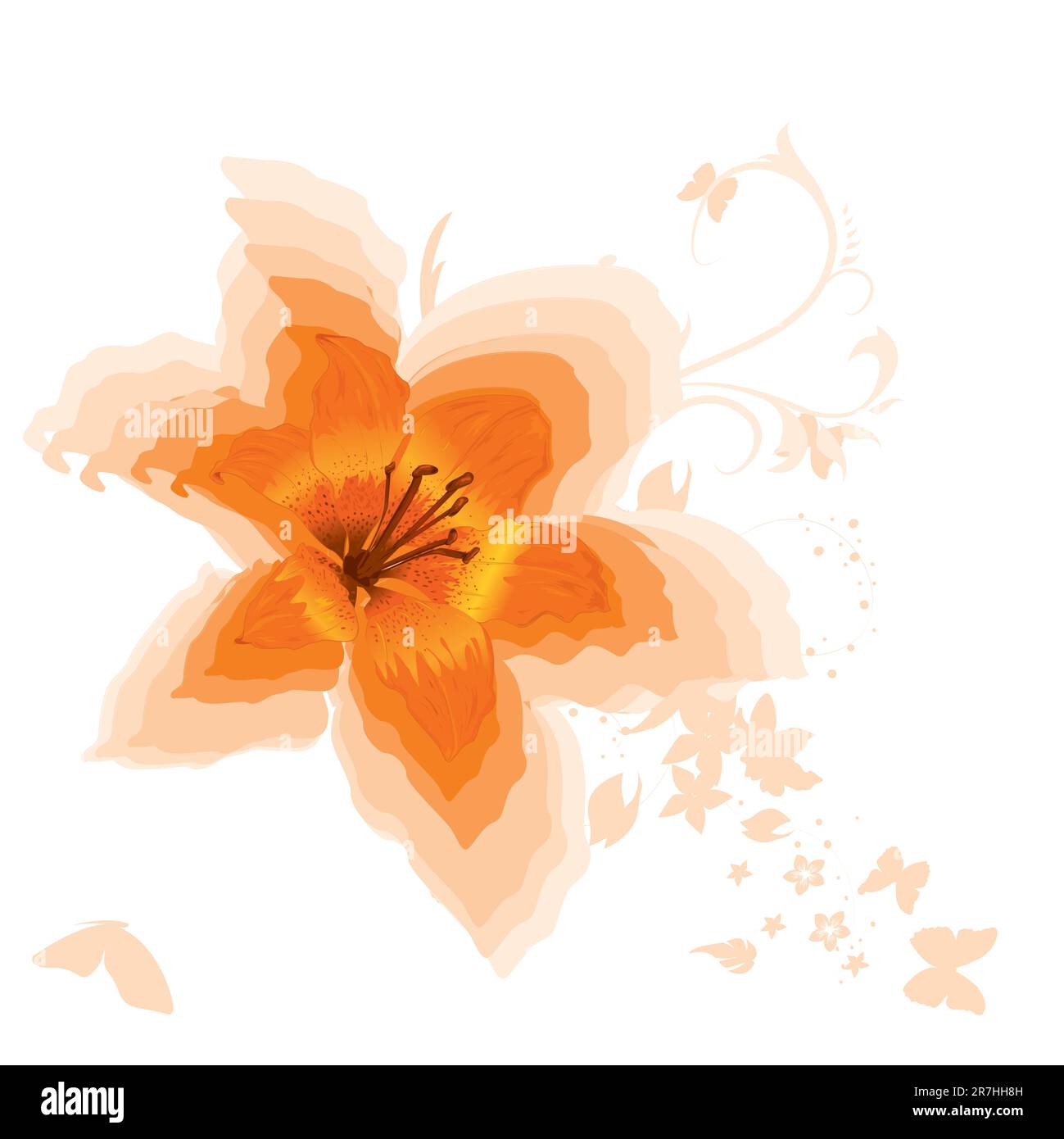 Beautiful orange lily. Vector. Stock Vector