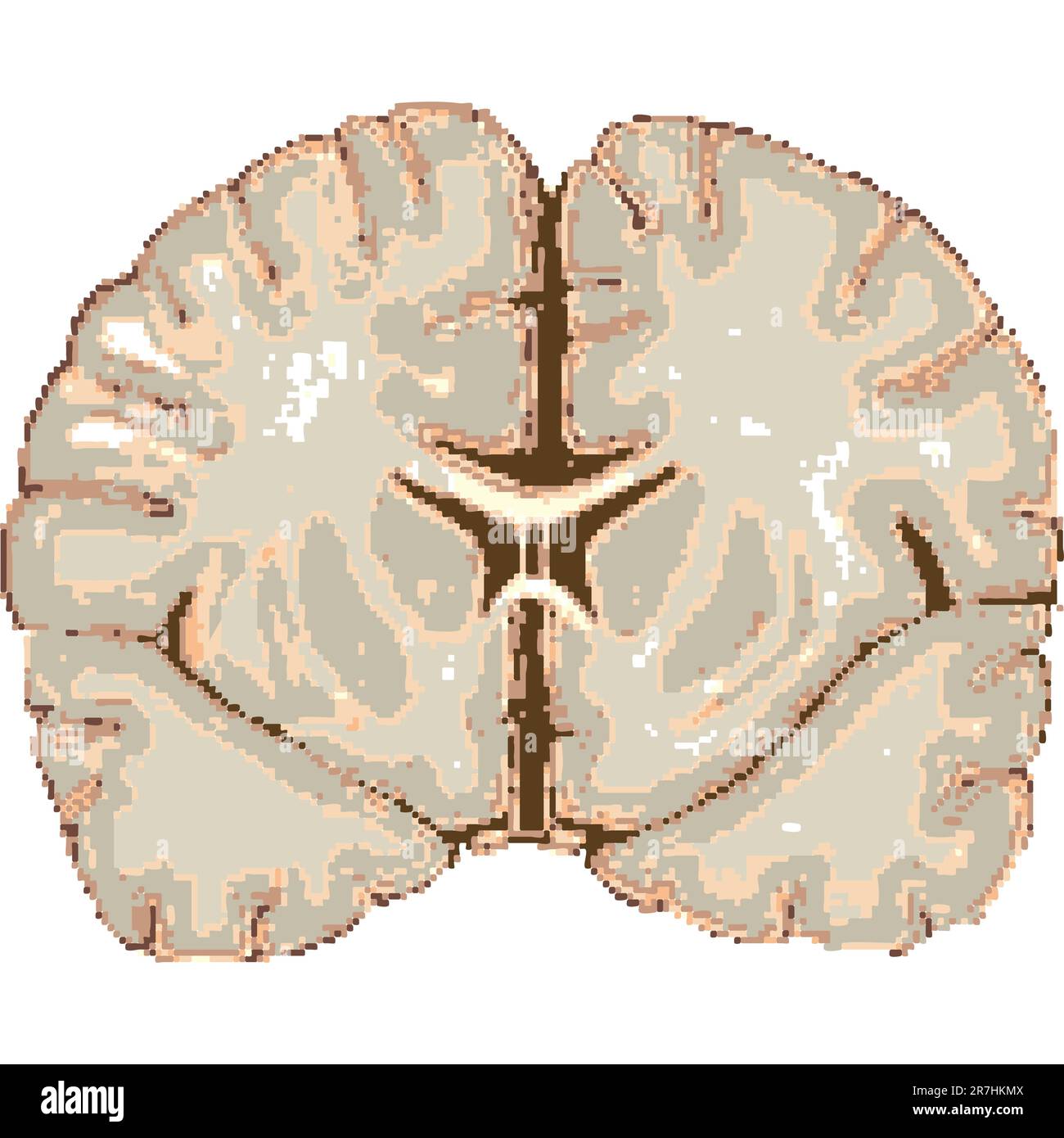 human brain isolated on white background, abstract vector art ...