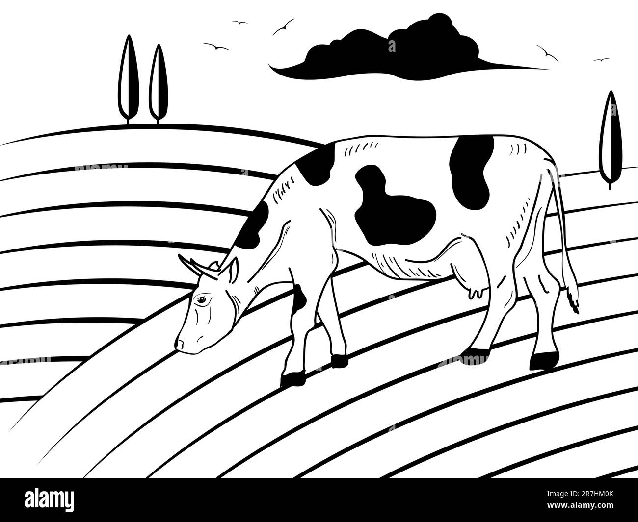 Vector picture with cow on the field Stock Vector Image & Art - Alamy