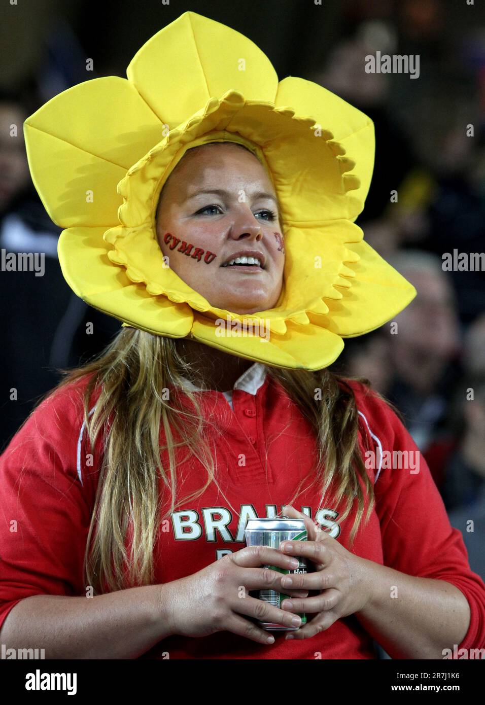 Rugby fans costume hi-res stock photography and images - Alamy