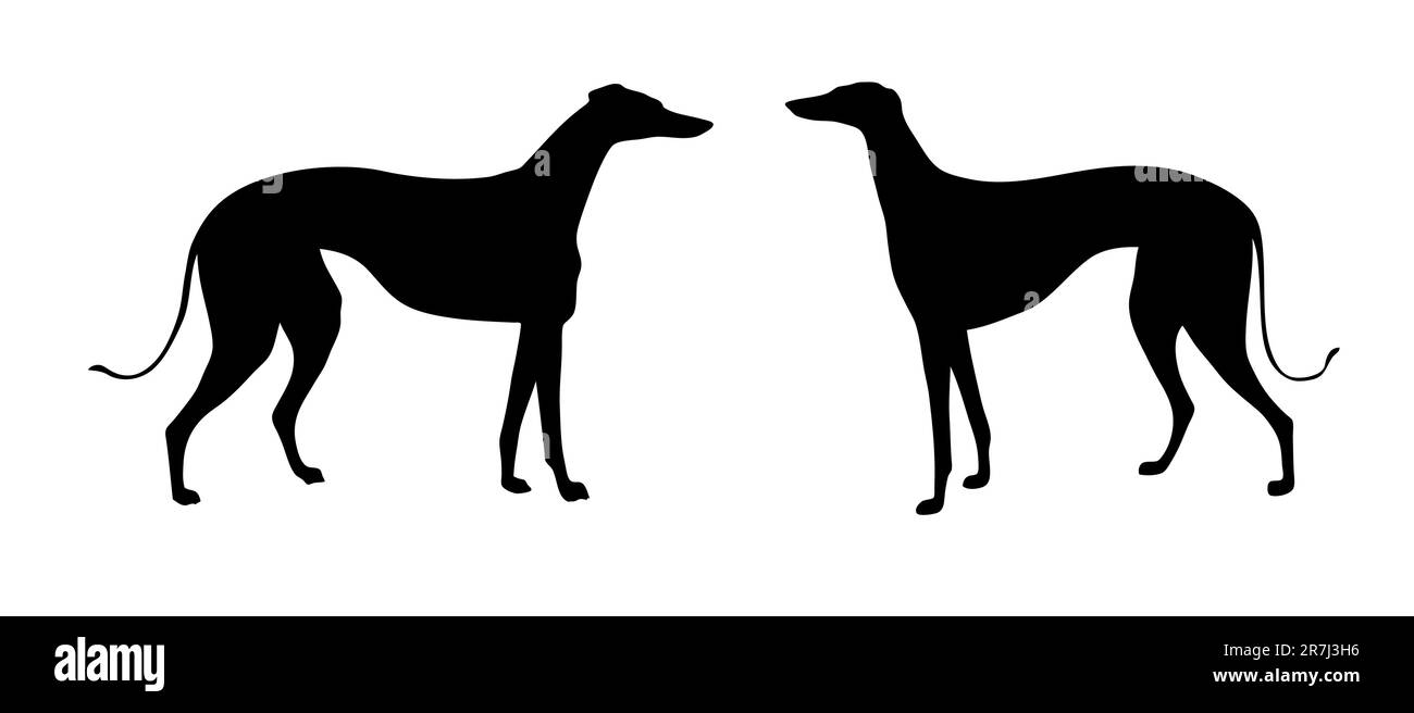 Greyhound leg Stock Vector Images Alamy