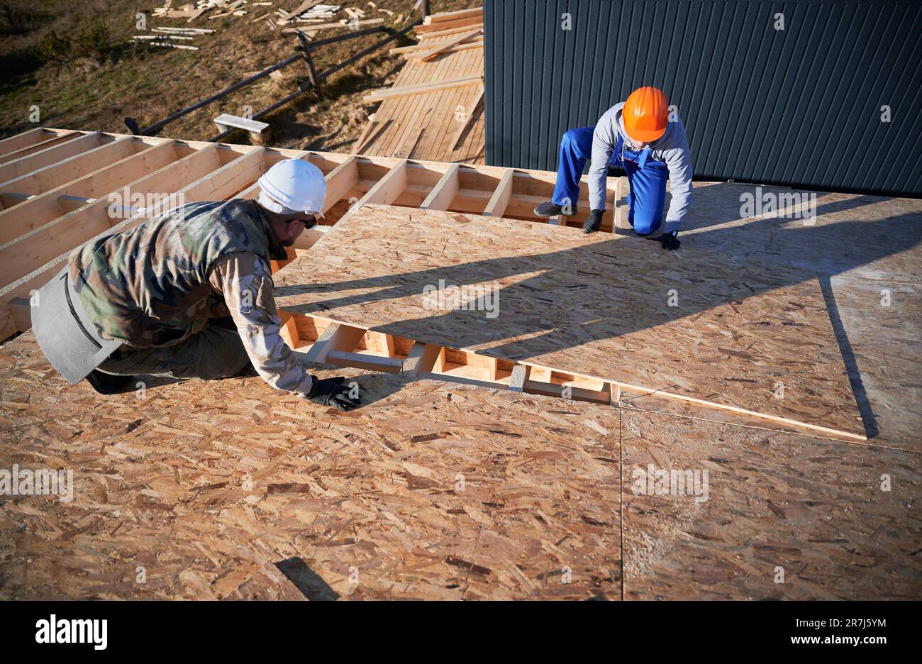 Carpenters mounting wooden OSB board on rooftop of future cottage. Men ...