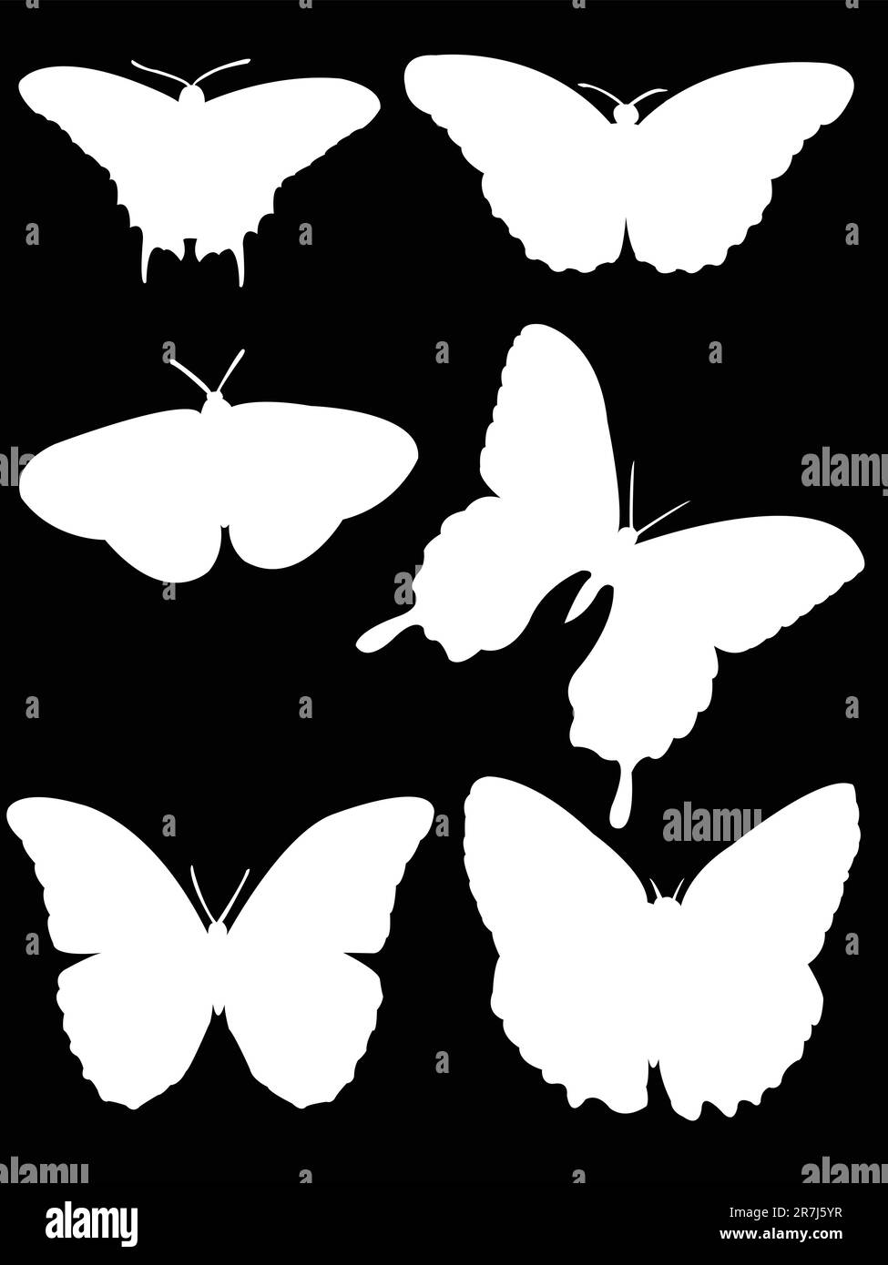 white butterfly vector Stock Vector Image & Art Alamy