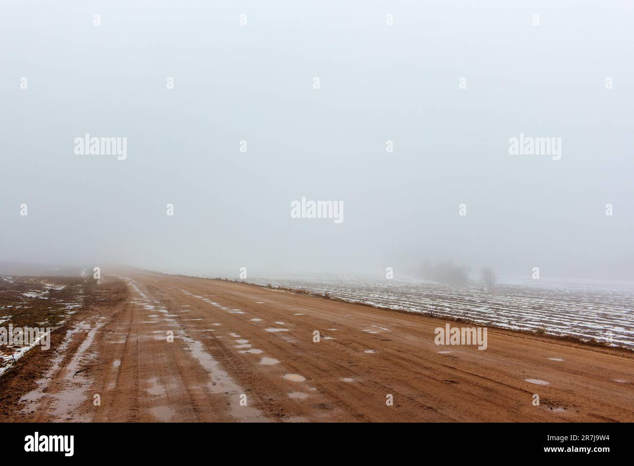 A country dirt road in the fields in dense fog. Puddles, potholes. Stock Photo