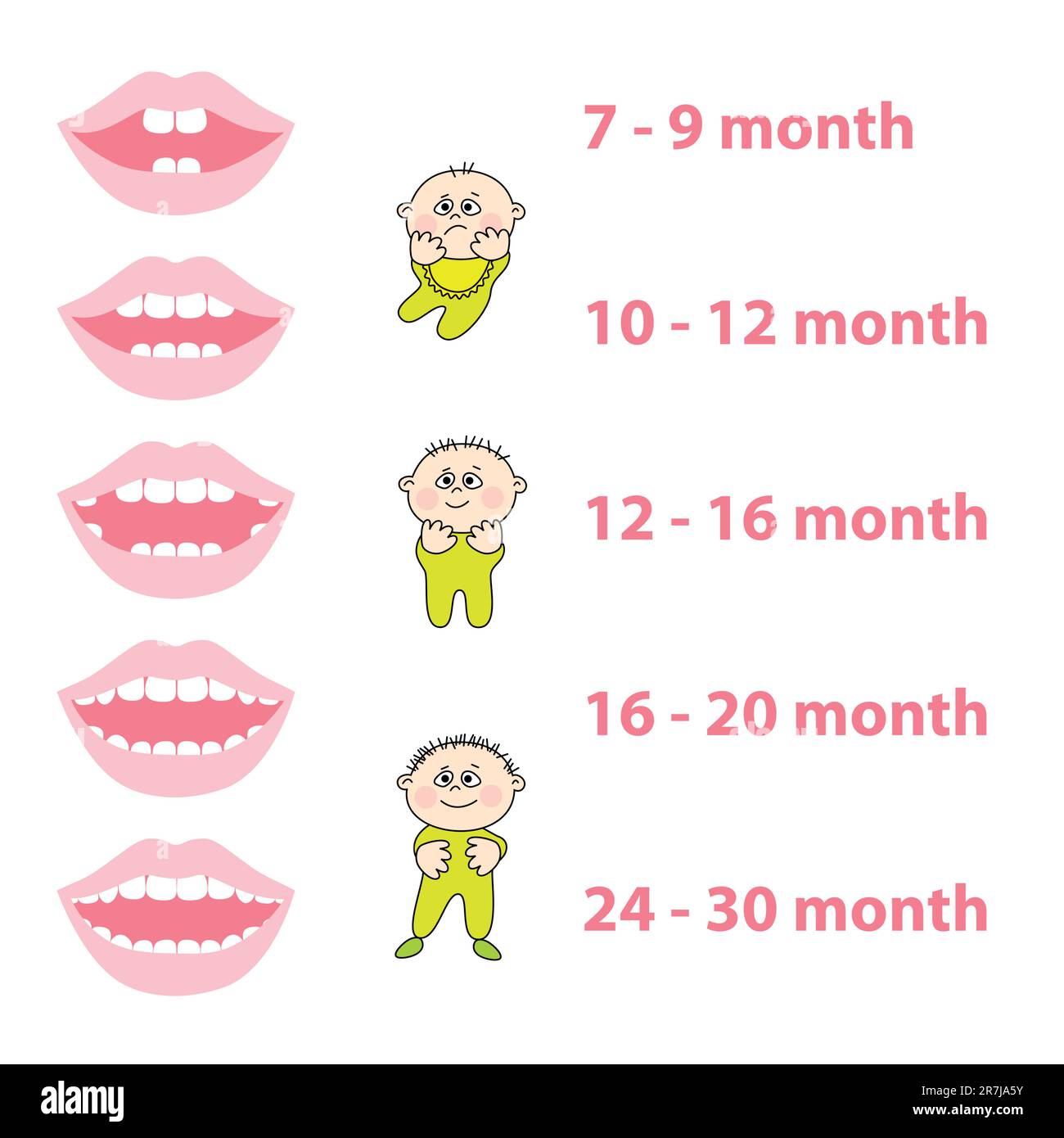 How To Grow Your Baby s Teeth Stock Vector Image Art Alamy how-to-grow-your-baby-s-teeth-stock-vector-image-art-alamy