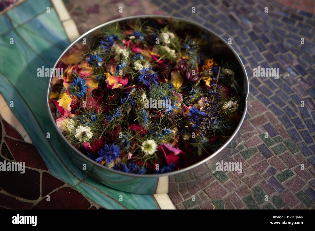 Dried kalonji flowers hi-res stock photography and images - Alamy